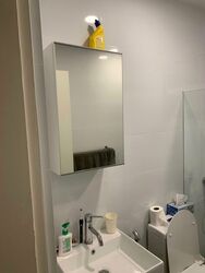 Lion Towers (D11), Apartment #525342461